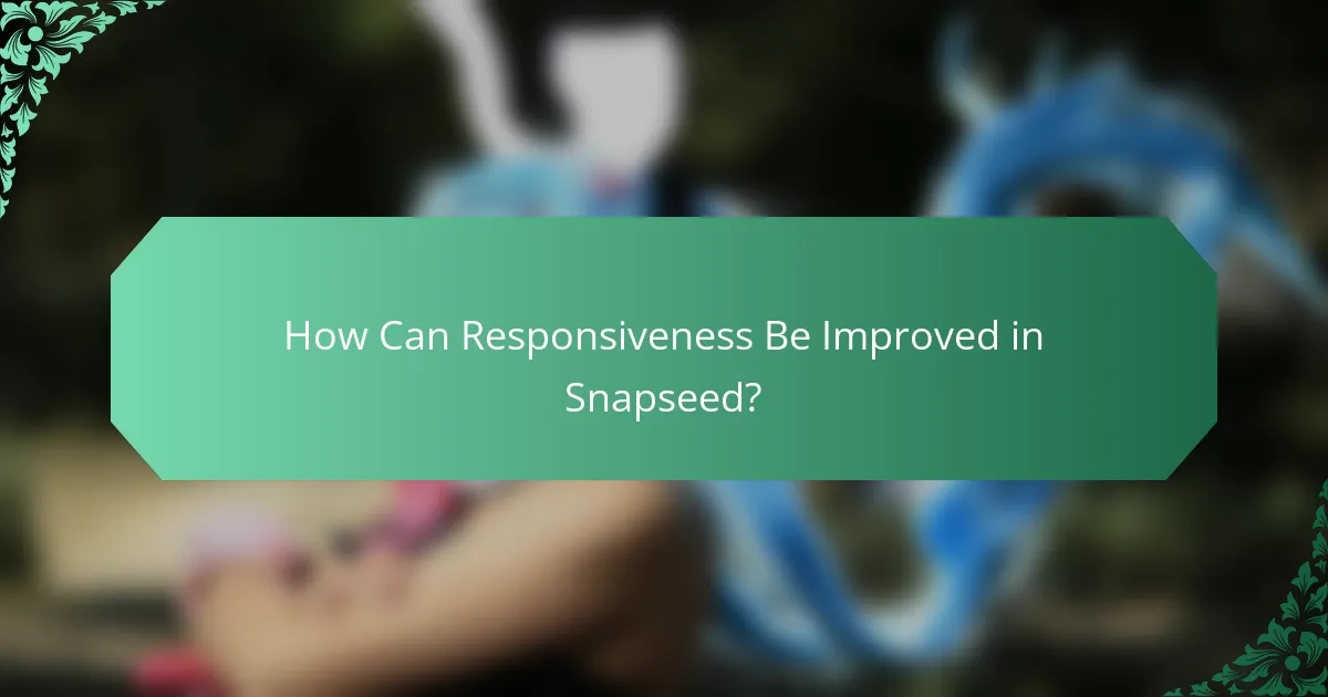How Can Responsiveness Be Improved in Snapseed?