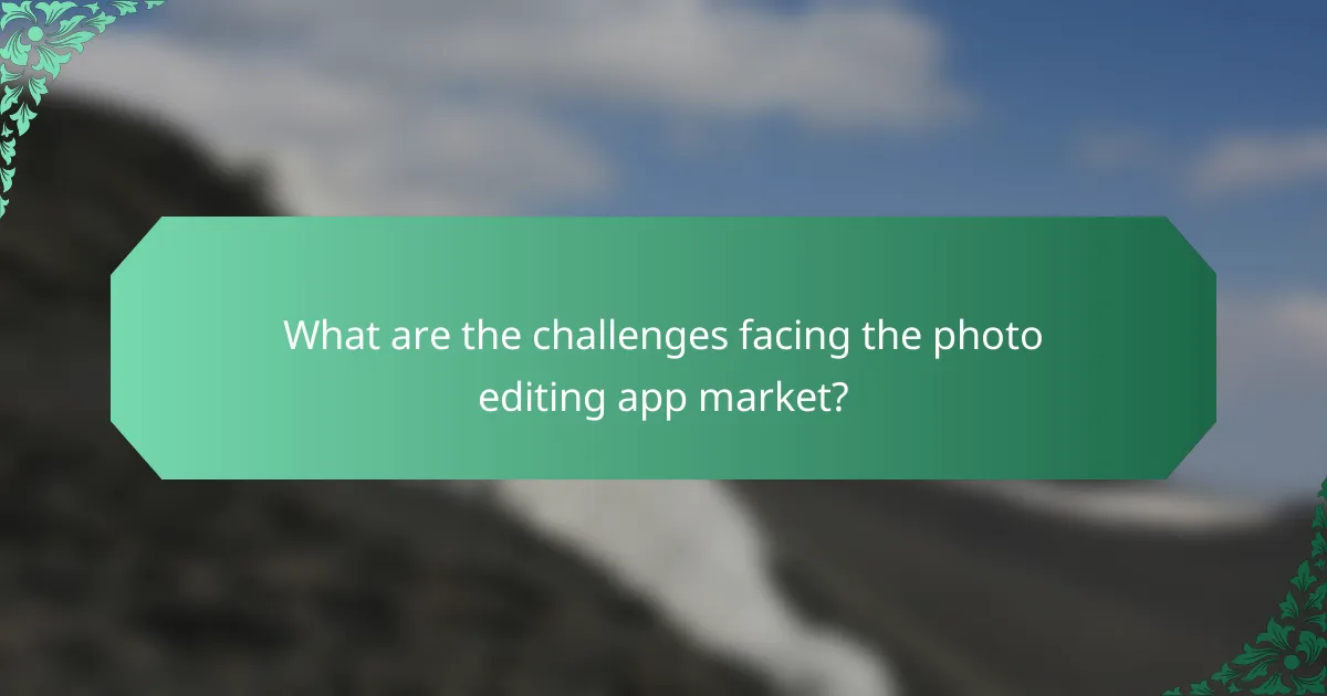 What are the challenges facing the photo editing app market?
