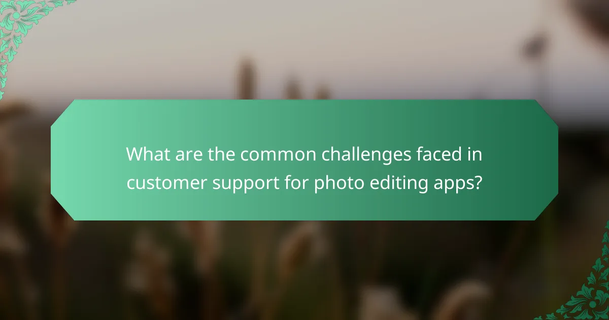 What are the common challenges faced in customer support for photo editing apps?