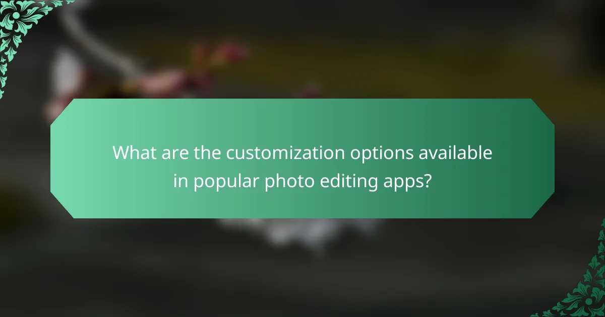 What are the customization options available in popular photo editing apps?