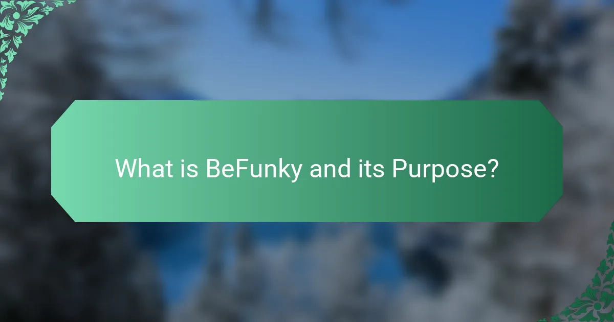 What is BeFunky and its Purpose?