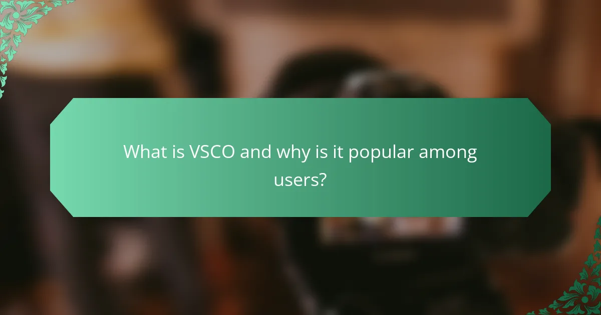 What is VSCO and why is it popular among users?