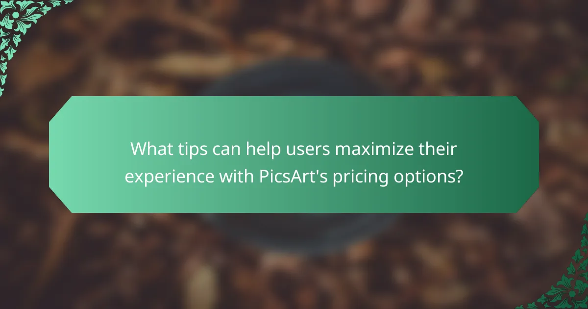 What tips can help users maximize their experience with PicsArt's pricing options?